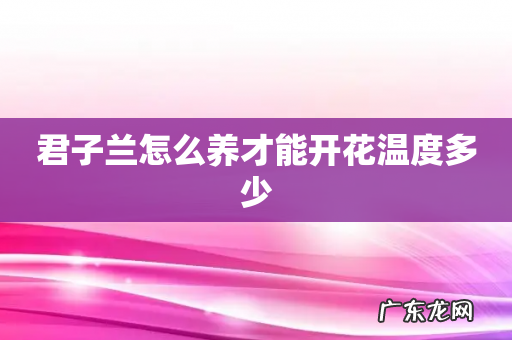 君子兰怎么养才能开花温度多少