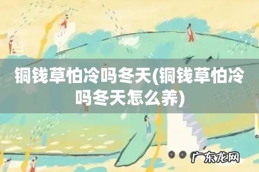 铜钱草怕冷吗冬天怎么养 铜钱草怕冷吗冬天