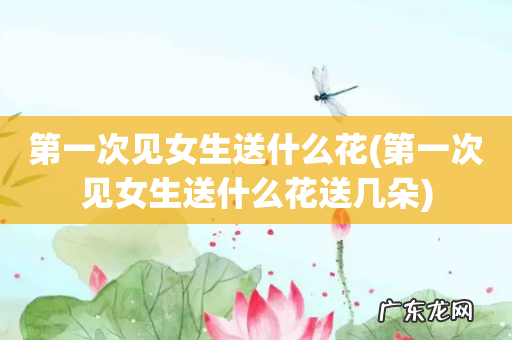 第一次见女生送什么花送几朵 第一次见女生送什么花