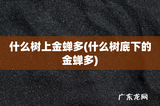 什么树底下的金蝉多 什么树上金蝉多