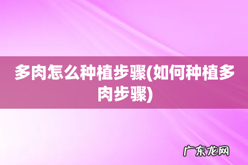 如何种植多肉步骤 多肉怎么种植步骤