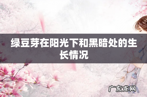 绿豆芽在阳光下和黑暗处的生长情况