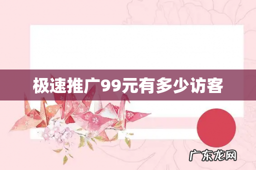 极速推广99元有多少访客