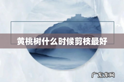 黄桃树什么时候剪枝最好