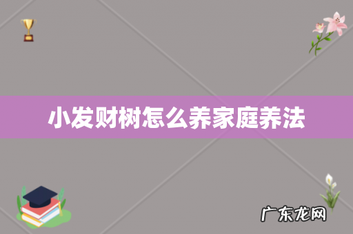 小发财树怎么养家庭养法