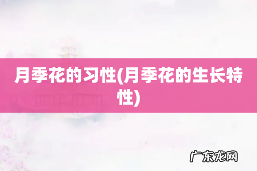 月季花的生长特性 月季花的习性