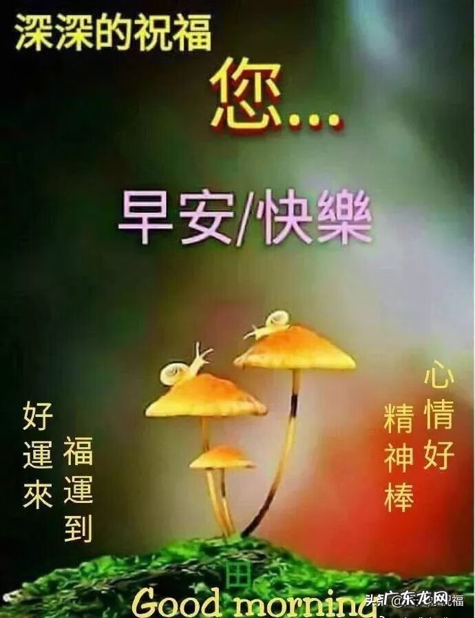 祝福短信最温馨的话 短信祝福语
