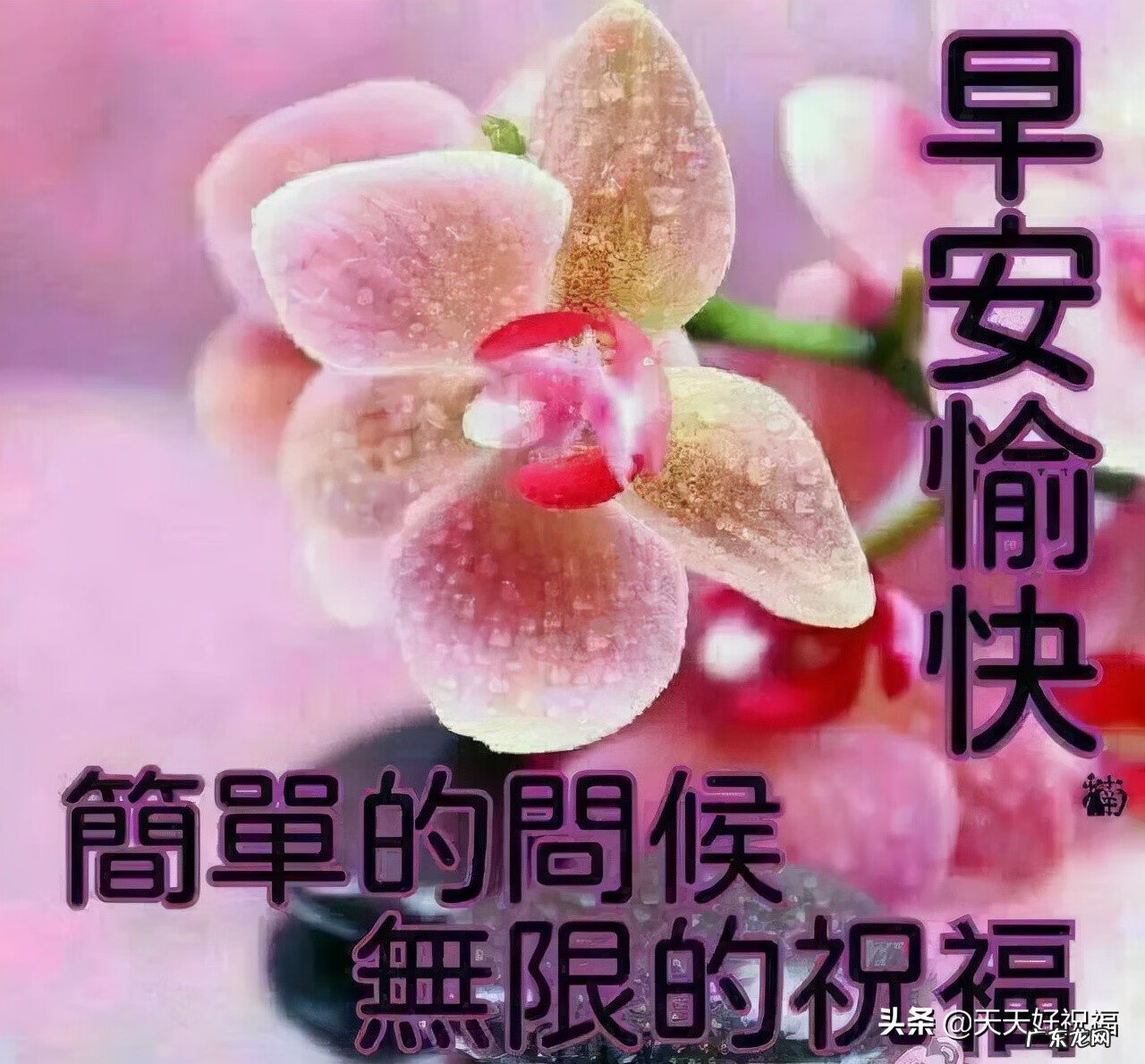 祝福短信最温馨的话 短信祝福语