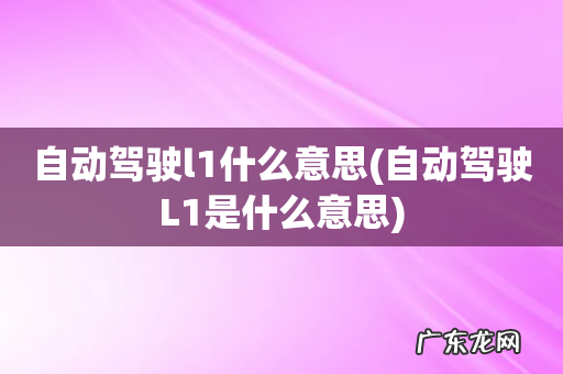 自动驾驶L1是什么意思 自动驾驶l1什么意思