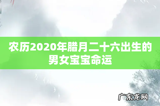 农历2020年腊月二十六出生的男女宝宝命运