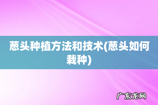葱头如何栽种 葱头种植方法和技术
