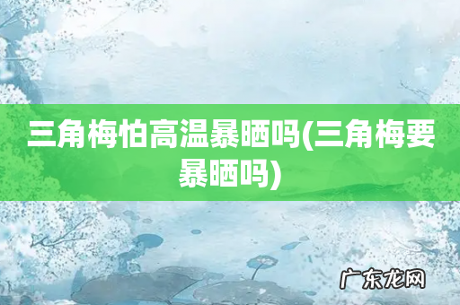 三角梅要暴晒吗 三角梅怕高温暴晒吗