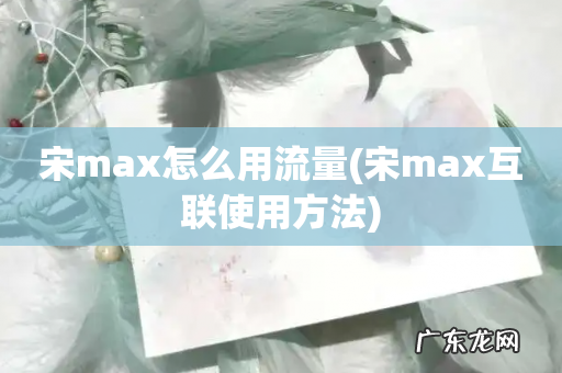 宋max互联使用方法 宋max怎么用流量