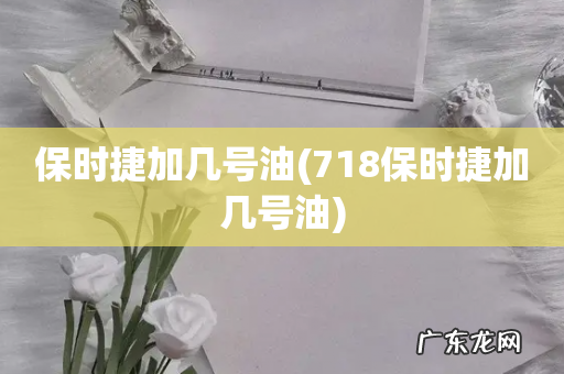 718保时捷加几号油 保时捷加几号油