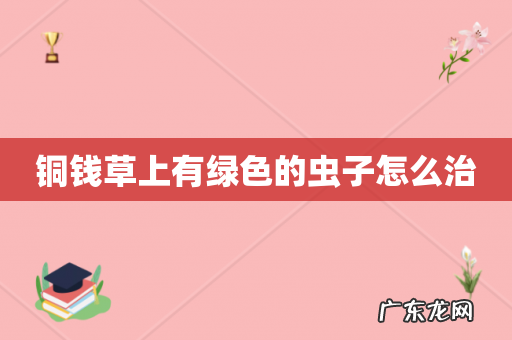 铜钱草上有绿色的虫子怎么治