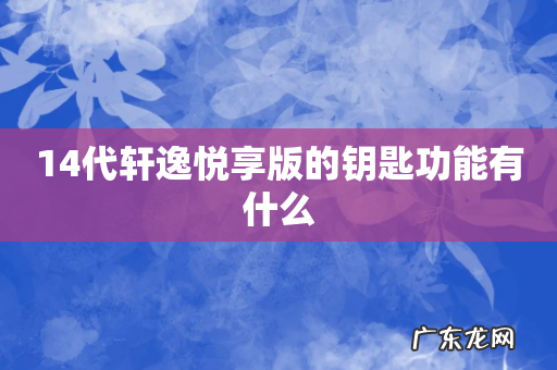 14代轩逸悦享版的钥匙功能有什么