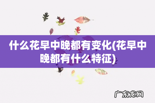 花早中晚都有什么特征 什么花早中晚都有变化