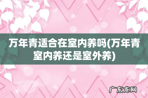 万年青室内养还是室外养 万年青适合在室内养吗