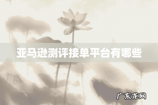 亚马逊测评接单平台有哪些