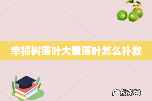 幸福树落叶大量落叶怎么补救