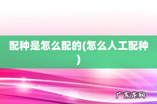 怎么人工配种 配种是怎么配的