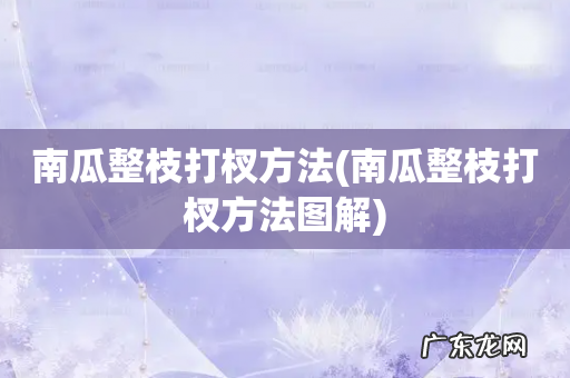 南瓜整枝打杈方法图解 南瓜整枝打杈方法