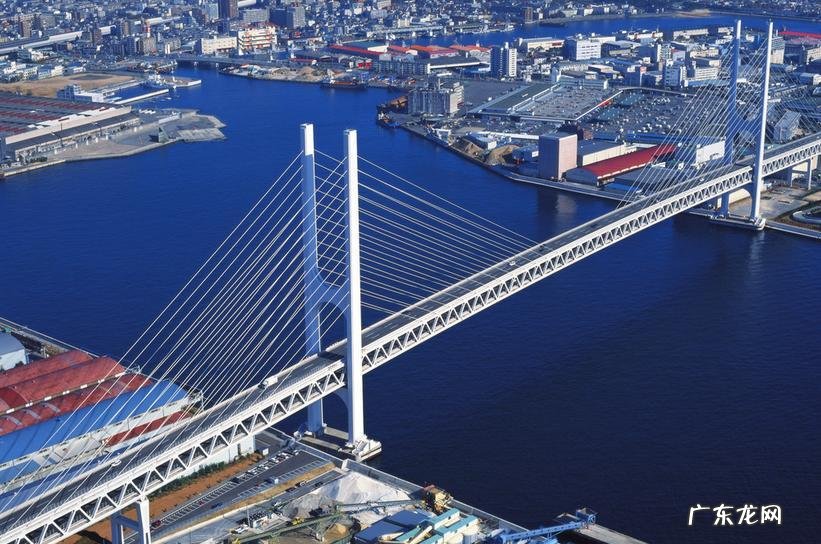 甲木是什么木 甲木的风水物件