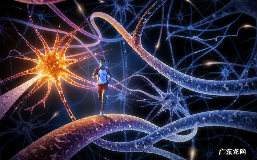 甲木是什么木 甲木的风水物件