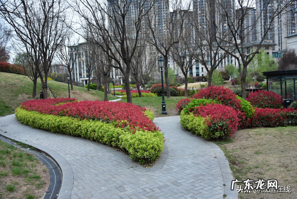 碧源月湖开发商是谁 碧源月湖风水局