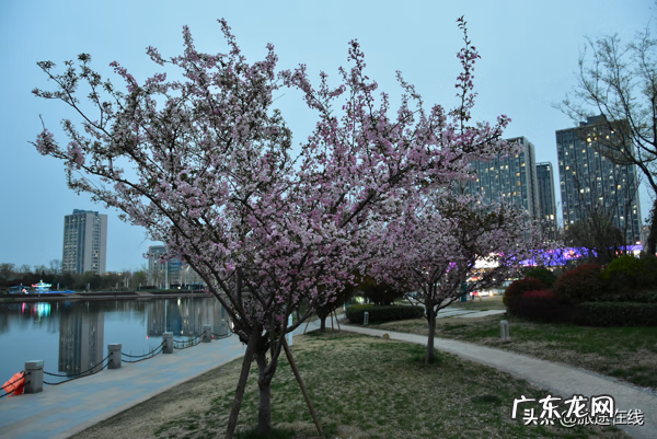 碧源月湖开发商是谁 碧源月湖风水局