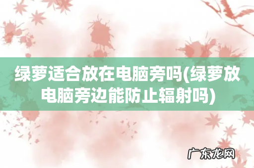 绿萝放电脑旁边能防止辐射吗 绿萝适合放在电脑旁吗