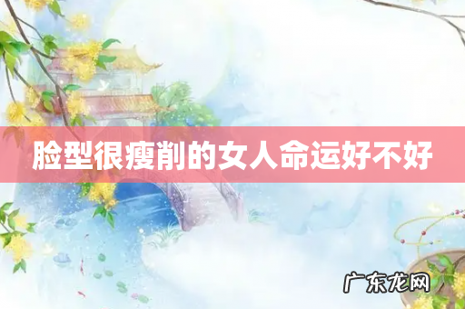 脸型很瘦削的女人命运好不好