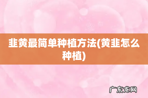 黄韭怎么种植 韭黄最简单种植方法