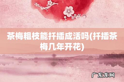 扦插茶梅几年开花 茶梅粗枝能扦插成活吗