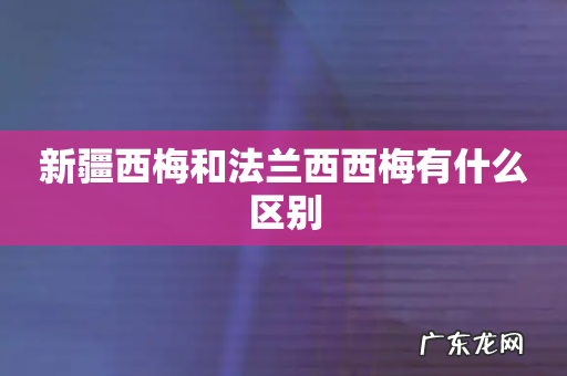 新疆西梅和法兰西西梅有什么区别
