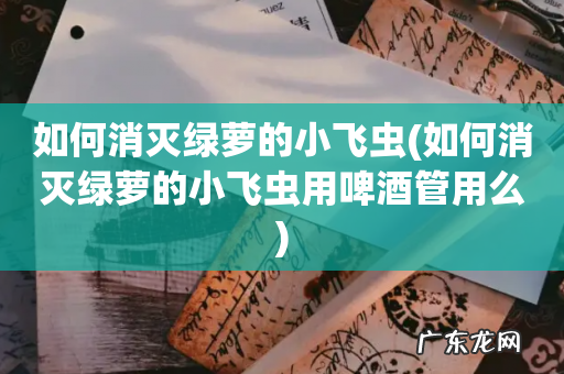 如何消灭绿萝的小飞虫用啤酒管用么 如何消灭绿萝的小飞虫