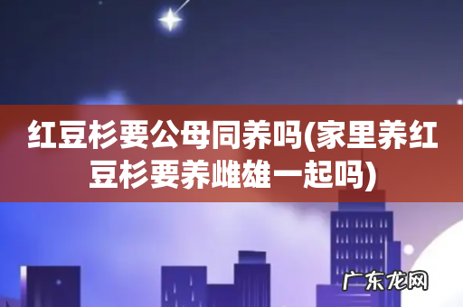家里养红豆杉要养雌雄一起吗 红豆杉要公母同养吗