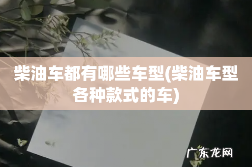 柴油车型各种款式的车 柴油车都有哪些车型