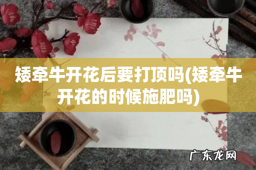 矮牵牛开花的时候施肥吗 矮牵牛开花后要打顶吗