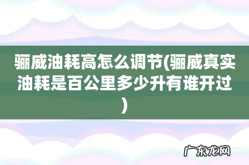 骊威真实油耗是百公里多少升有谁开过 骊威油耗高怎么调节