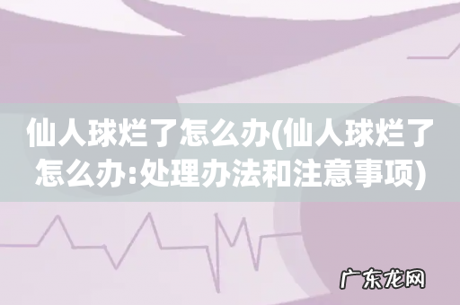 仙人球烂了怎么办:处理办法和注意事项 仙人球烂了怎么办