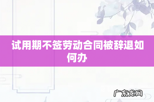 试用期不签劳动合同被辞退如何办
