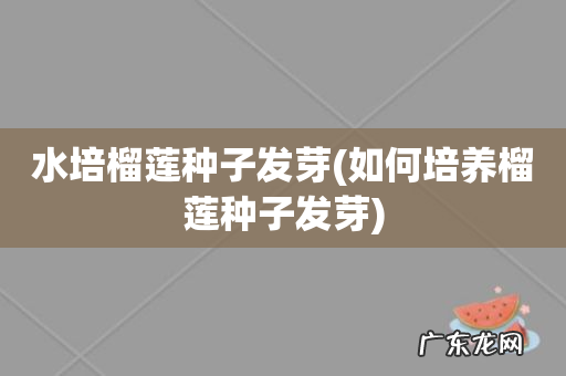 如何培养榴莲种子发芽 水培榴莲种子发芽