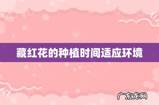藏红花的种植时间适应环境