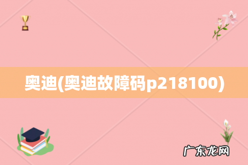 奥迪故障码p218100 奥迪