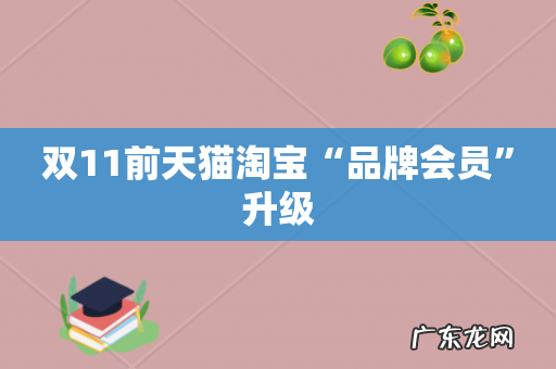 双11前天猫淘宝“品牌会员”升级