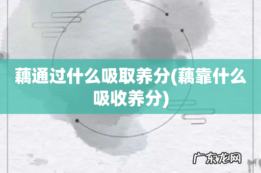 藕靠什么吸收养分 藕通过什么吸取养分