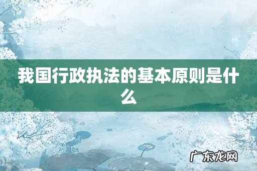 我国行政执法的基本原则是什么