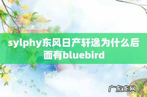 sylphy东风日产轩逸为什么后面有bluebird