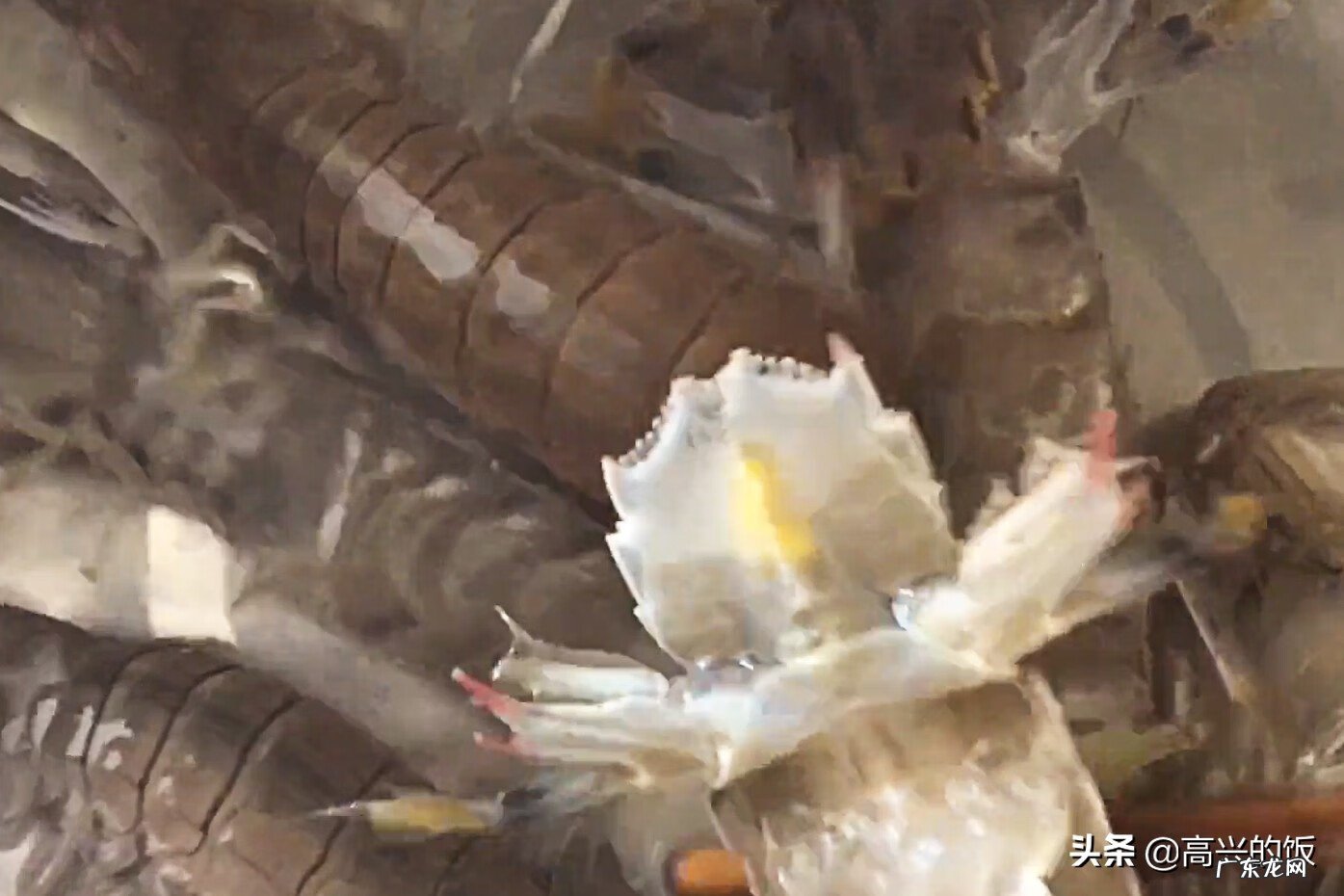 如何剥虾爬子 皮皮虾怎样剥